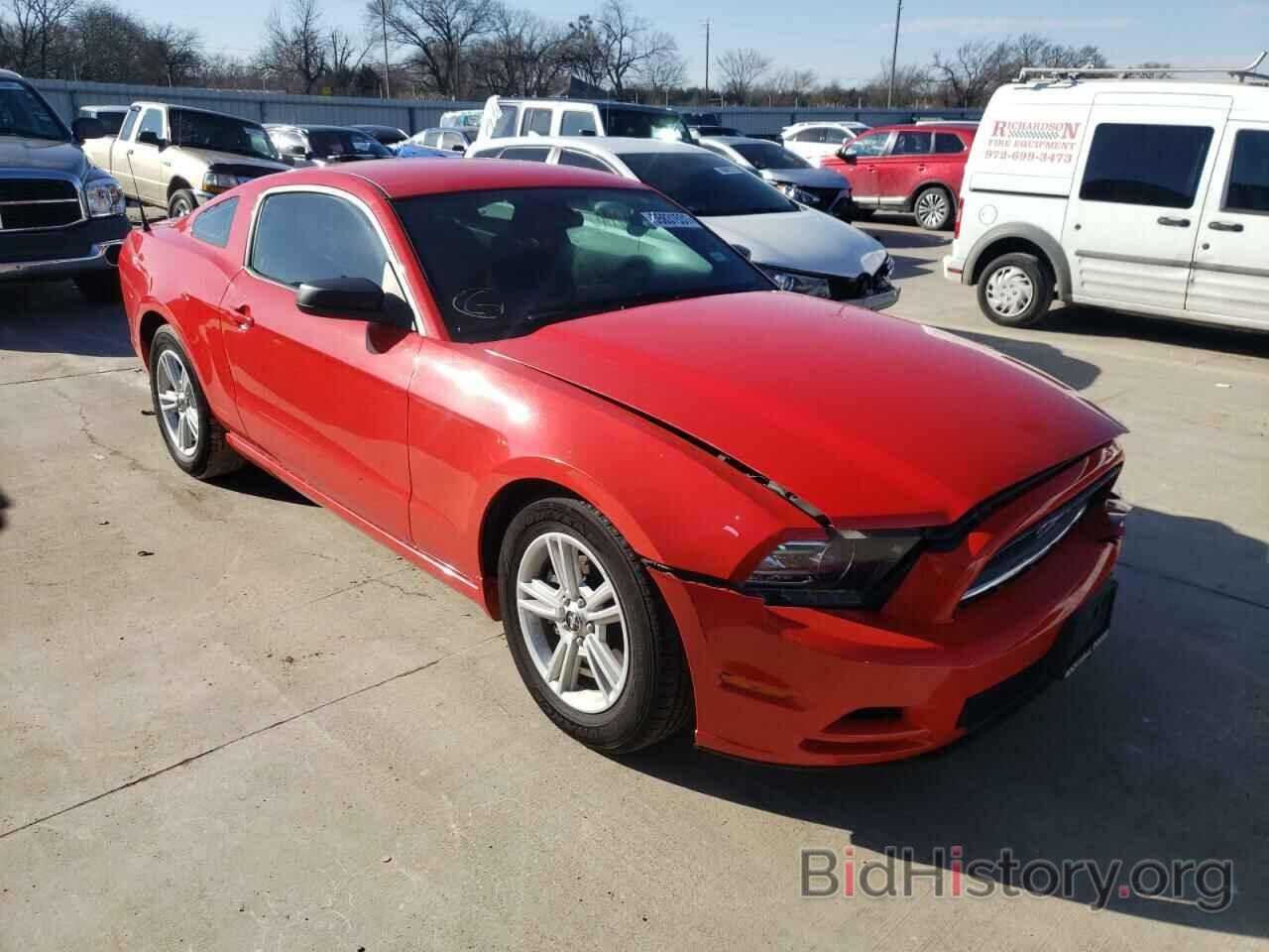 Photo 1ZVBP8AM0E5261298 - FORD MUSTANG 2014