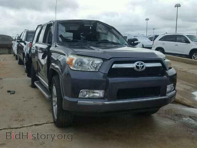 Фотография JTEBU5JR2A5007782 - TOYOTA 4RUNNER 2010