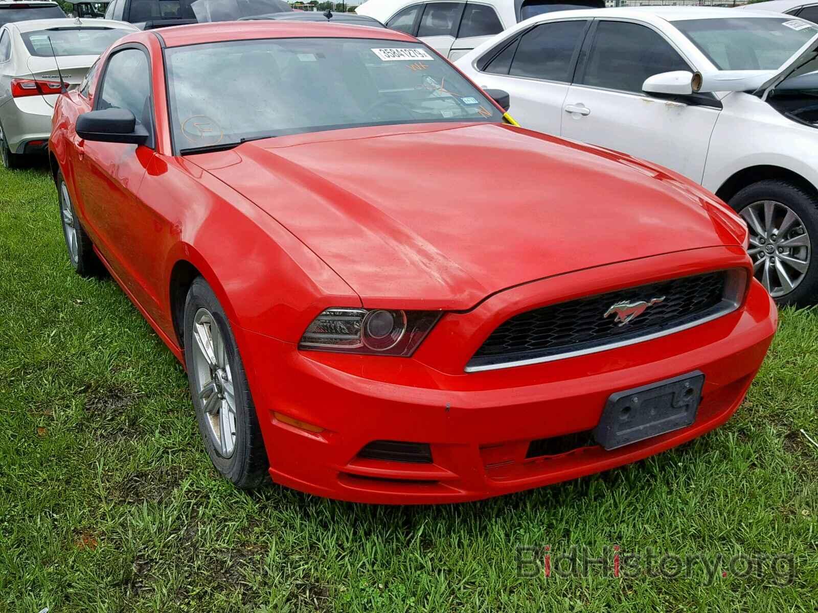 Photo 1ZVBP8AM6E5224160 - FORD MUSTANG 2014