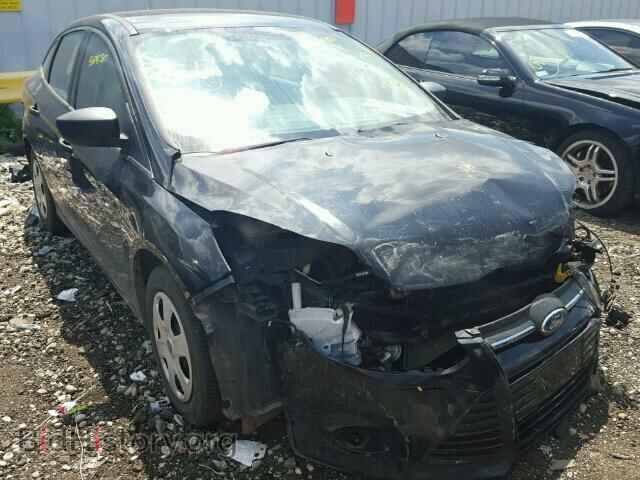 Фотография 1FADP3E21DL288016 - FORD FOCUS 2013