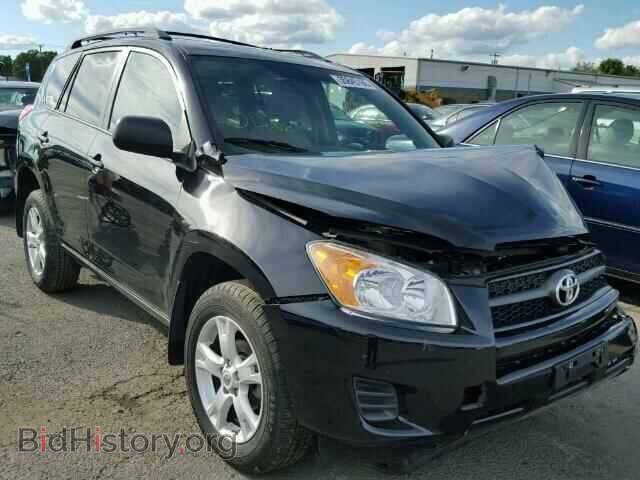 Фотография 2T3BF4DV7BW156698 - TOYOTA RAV4 2011
