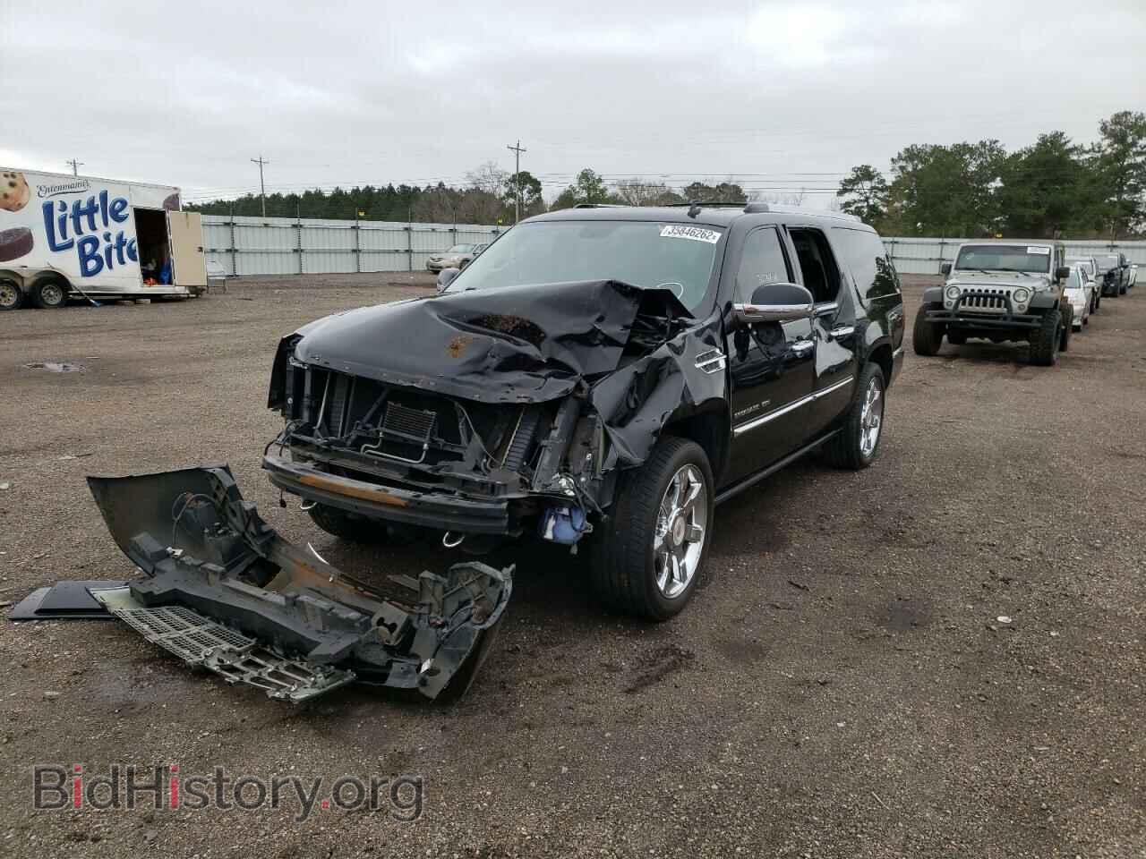 2010 CADILLAC ESCALADE - VIN: 1GYUKJEF4AR120793 - Фото 2
