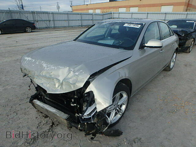 2013 AUDI A4 - VIN: WAUFFCFL5DN005034 - Фото 2