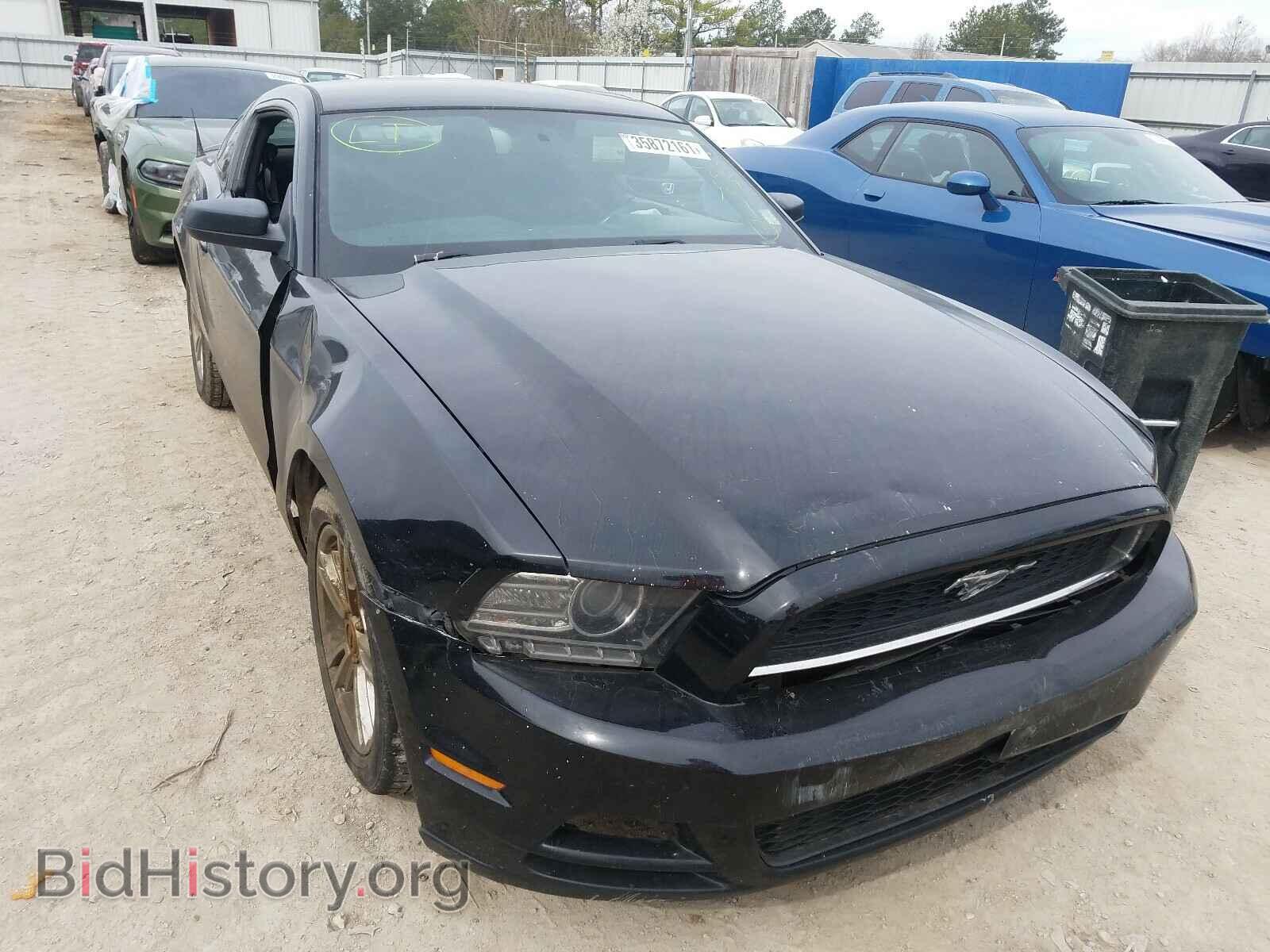 Фотография 1ZVBP8AM2D5241844 - FORD MUSTANG 2013