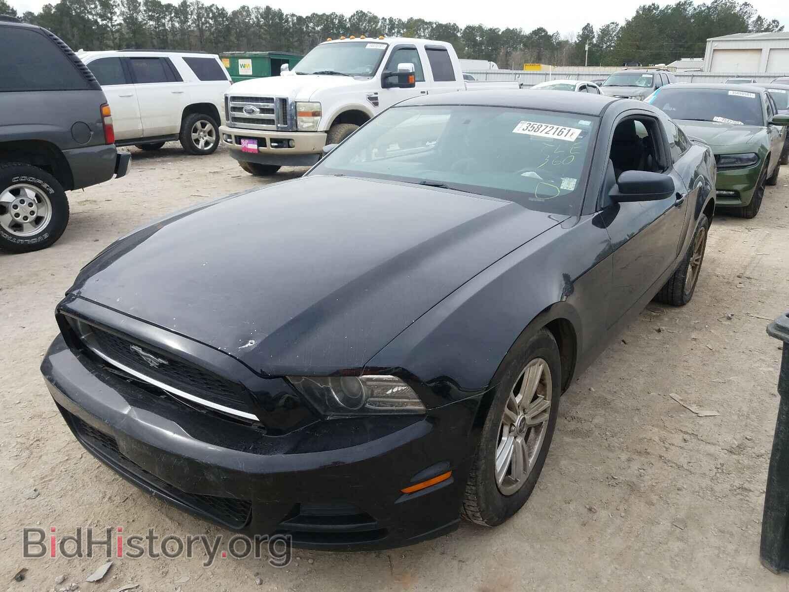 2013 FORD MUSTANG - VIN: 1ZVBP8AM2D5241844 - Фото 2