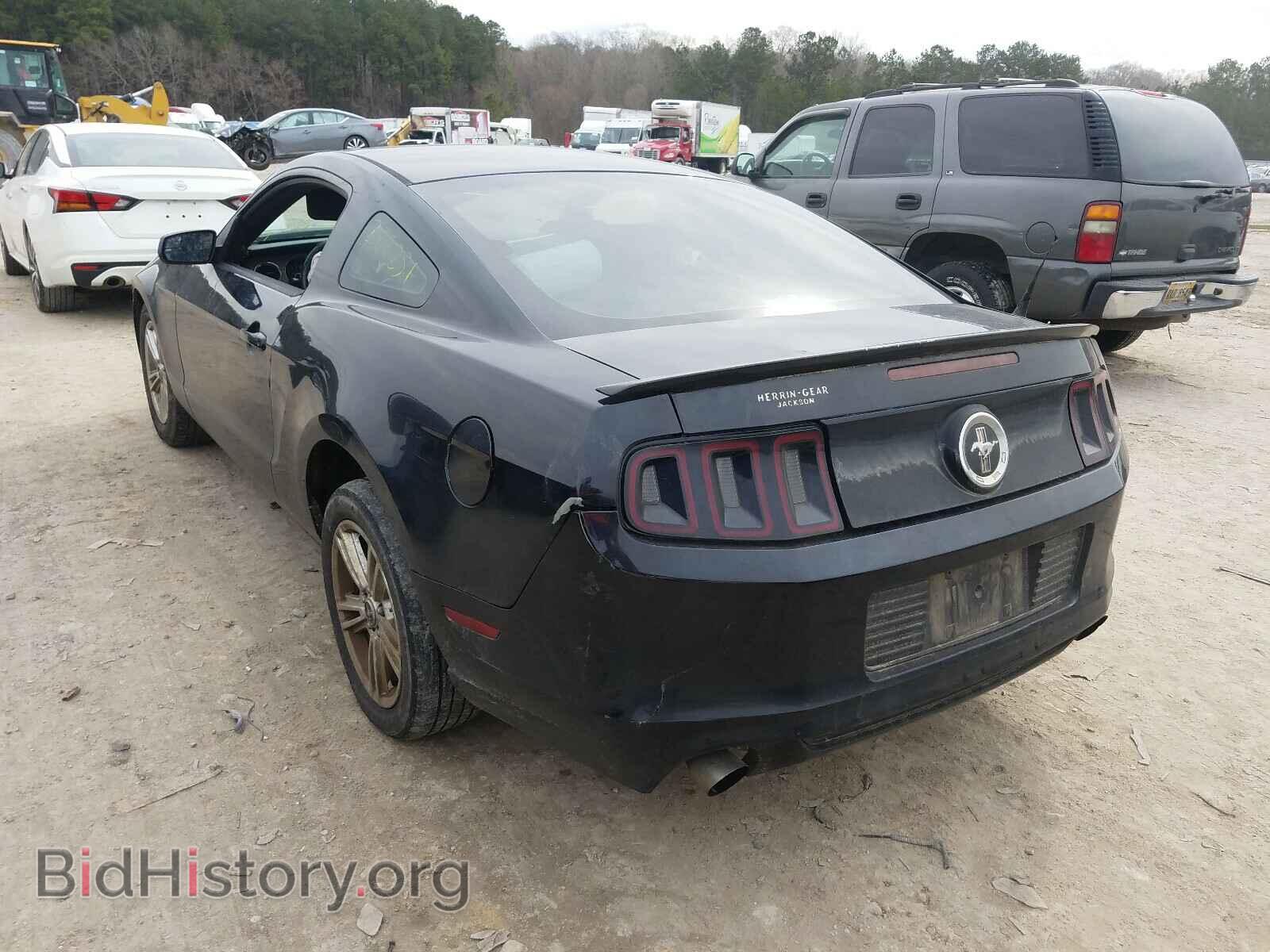 2013 FORD MUSTANG - VIN: 1ZVBP8AM2D5241844 - Фото 3