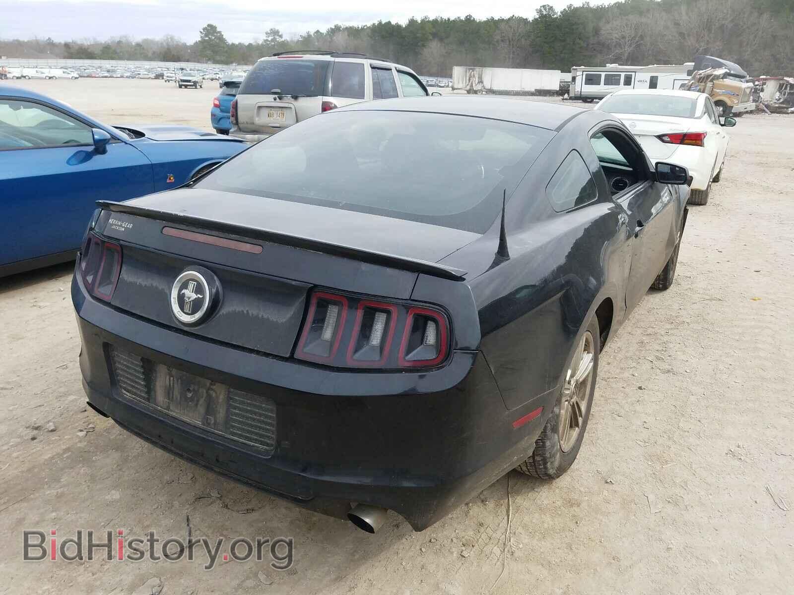 2013 FORD MUSTANG - VIN: 1ZVBP8AM2D5241844 - Фото 4