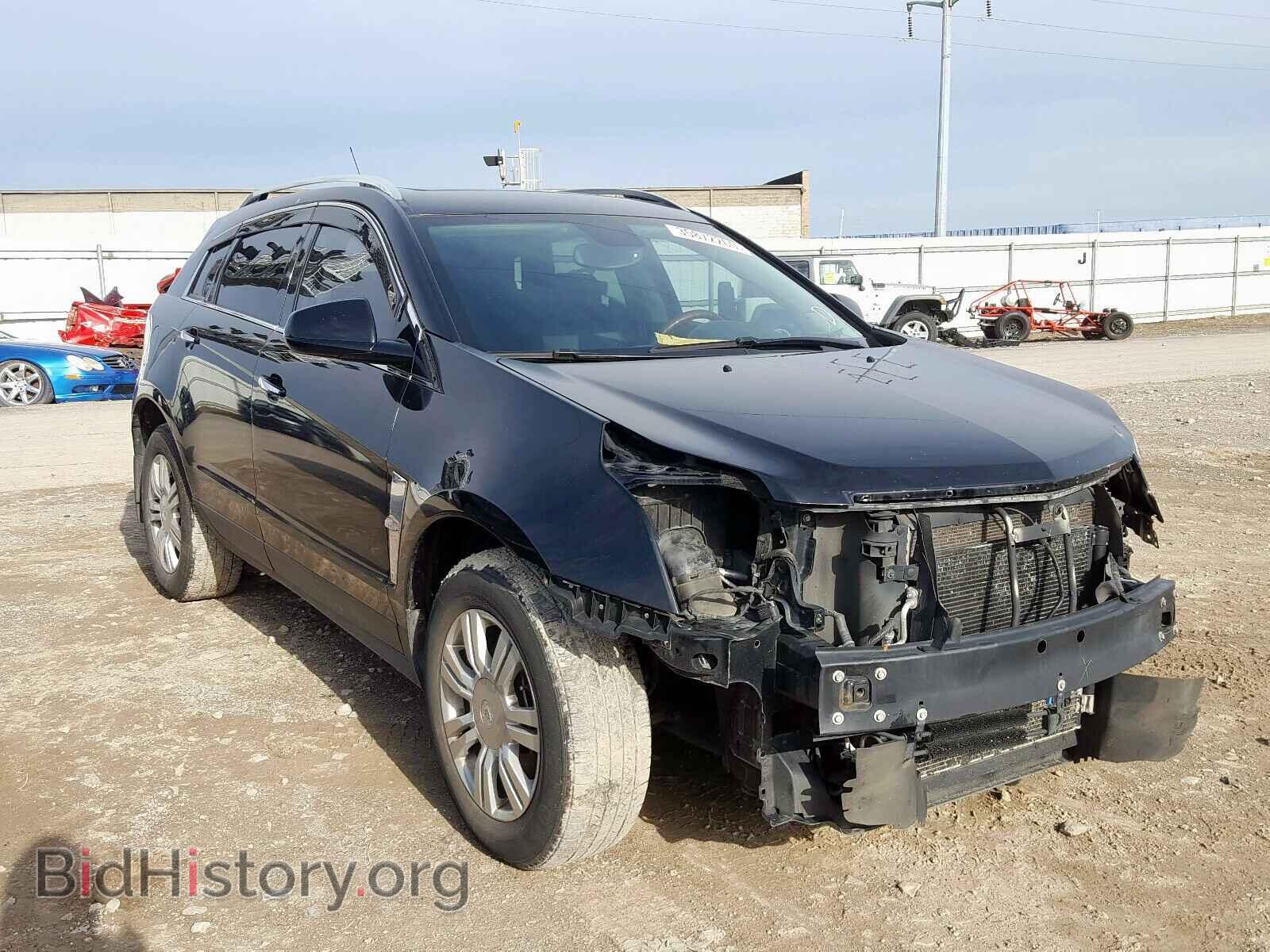 Photo 3GYFNDEY0AS529941 - CADILLAC SRX 2010