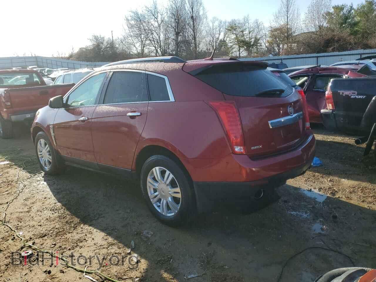 2012 CADILLAC SRX - VIN: 3GYFNAE39CS630014 - Фото 2