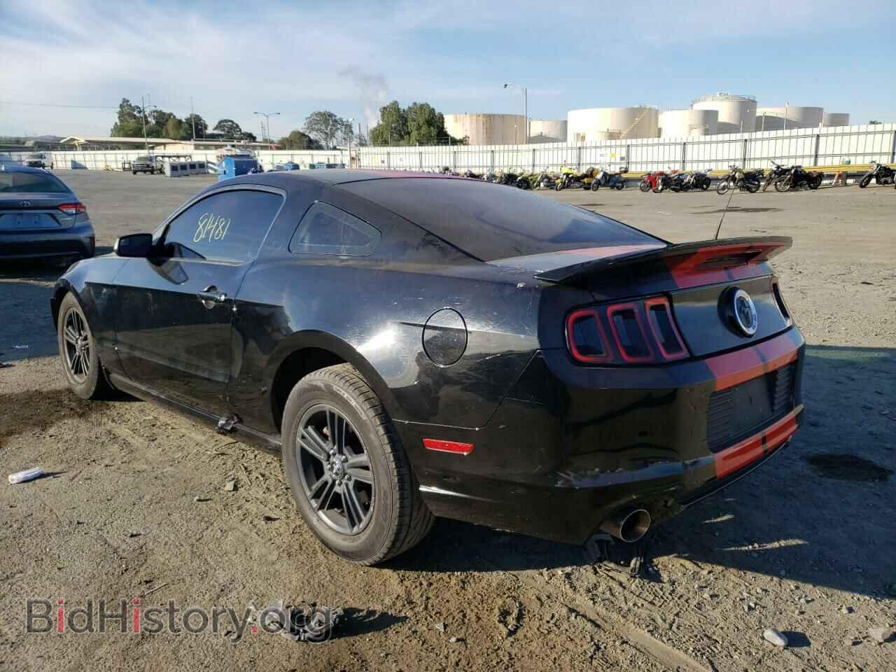 2013 FORD MUSTANG - VIN: 1ZVBP8AM4D5243661 - Фото 3