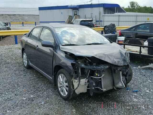 Photo 1NXBU4EE1AZ325934 - TOYOTA COROLLA 2010