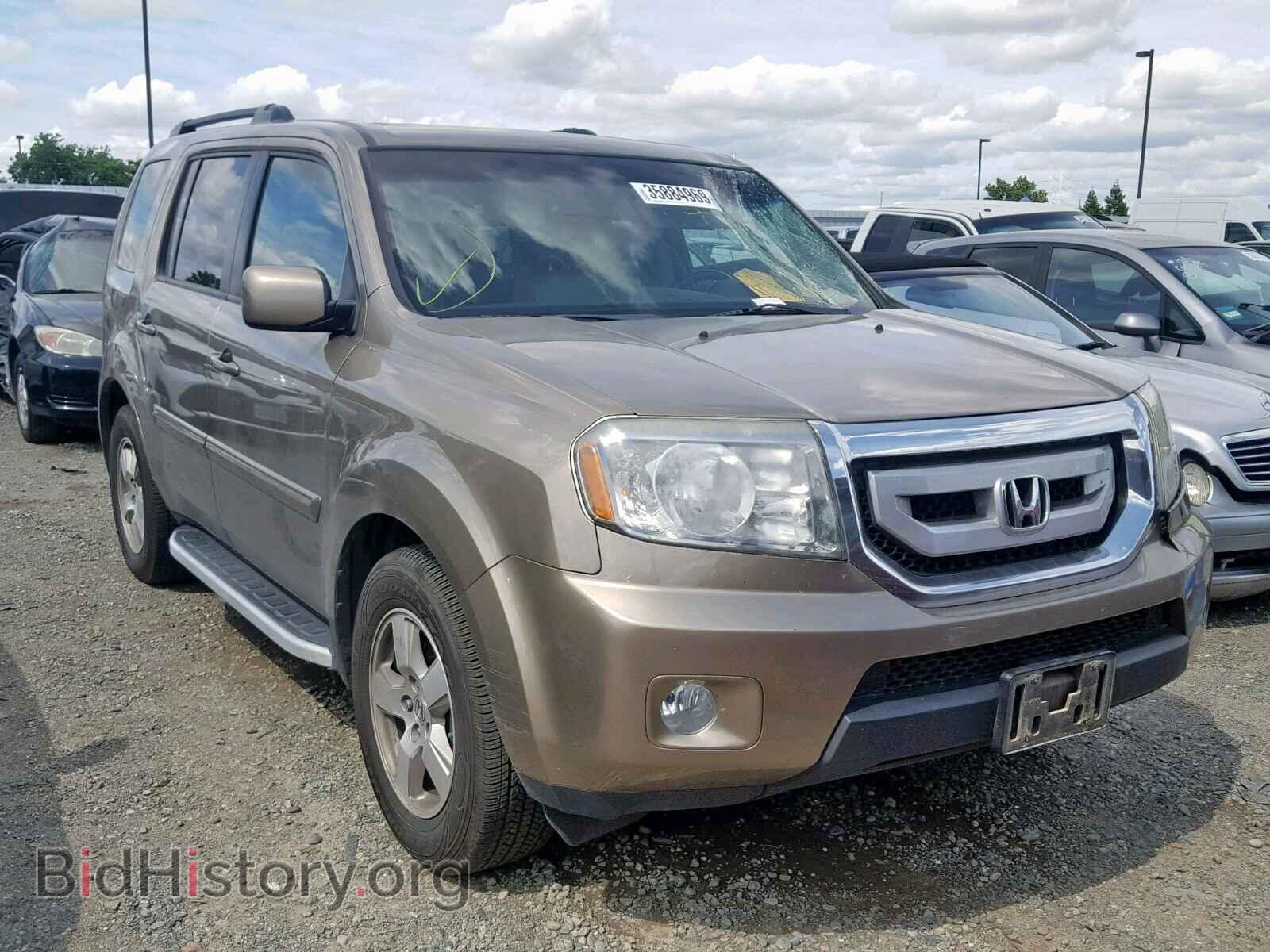 Фотография 5FNYF4H68BB062364 - HONDA PILOT EXL 2011