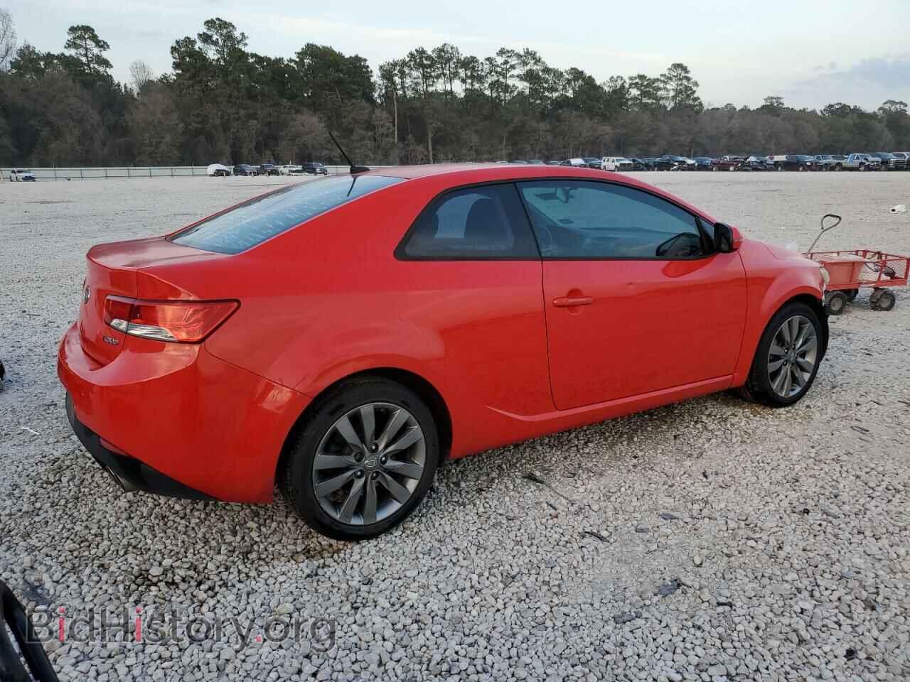 2013 KIA FORTE - VIN: KNAFW6A30D5664003 - Фото 3
