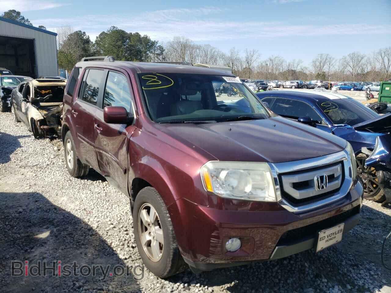 Фотография 5FNYF3H56BB012368 - HONDA PILOT 2011