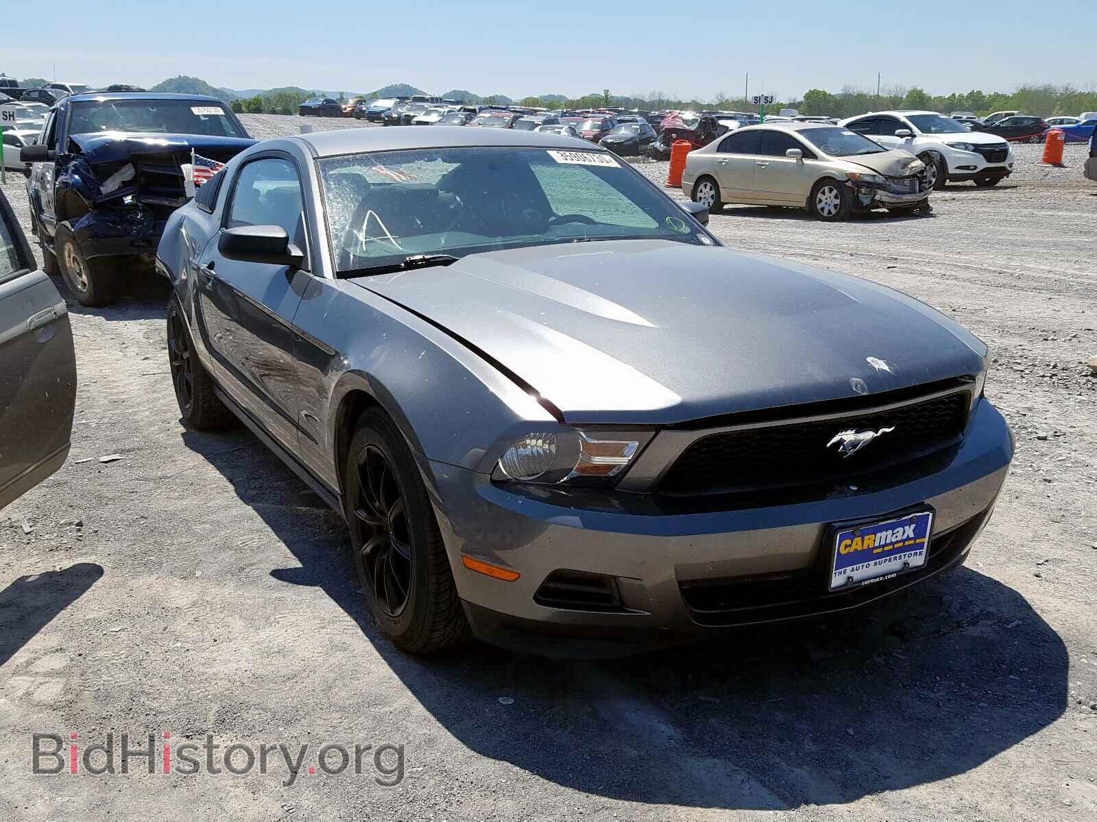 Фотография 1ZVBP8AM3C5277993 - FORD MUSTANG 2012