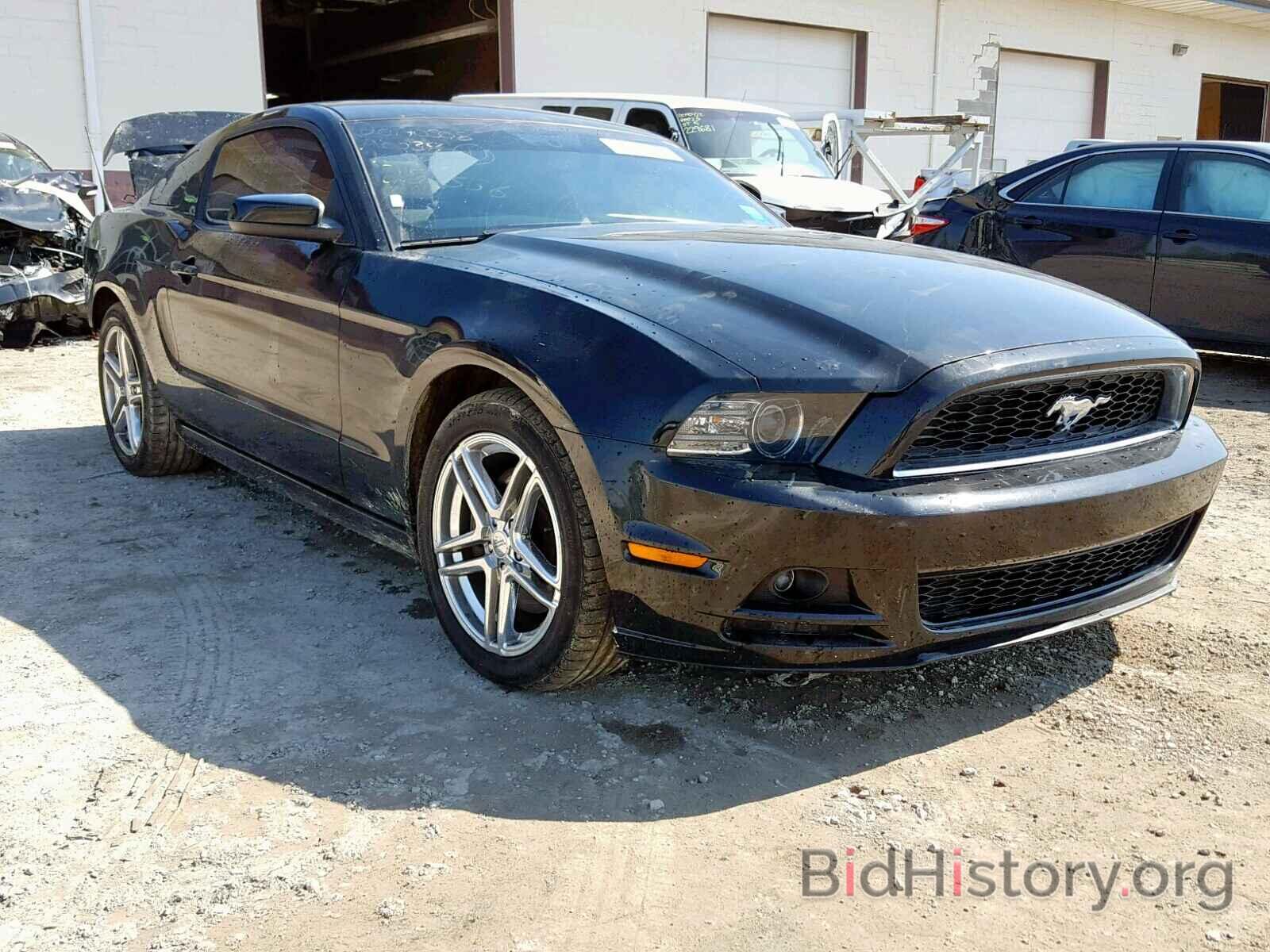 Photo 1ZVBP8AMXE5287536 - FORD MUSTANG 2014