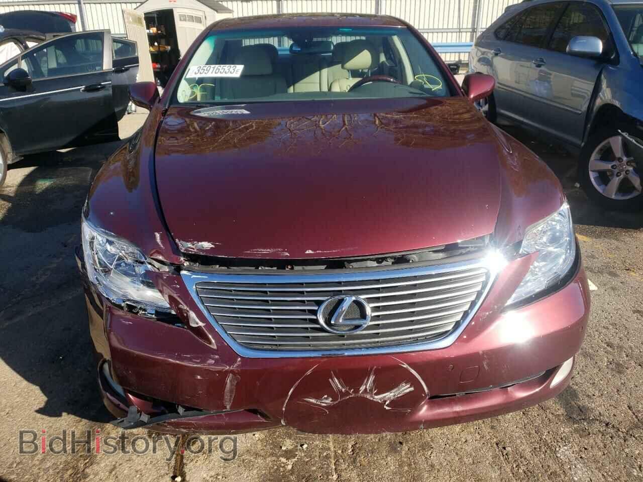 2009 LEXUS LS460 - VIN: JTHCL46F495000962 - Photo 5