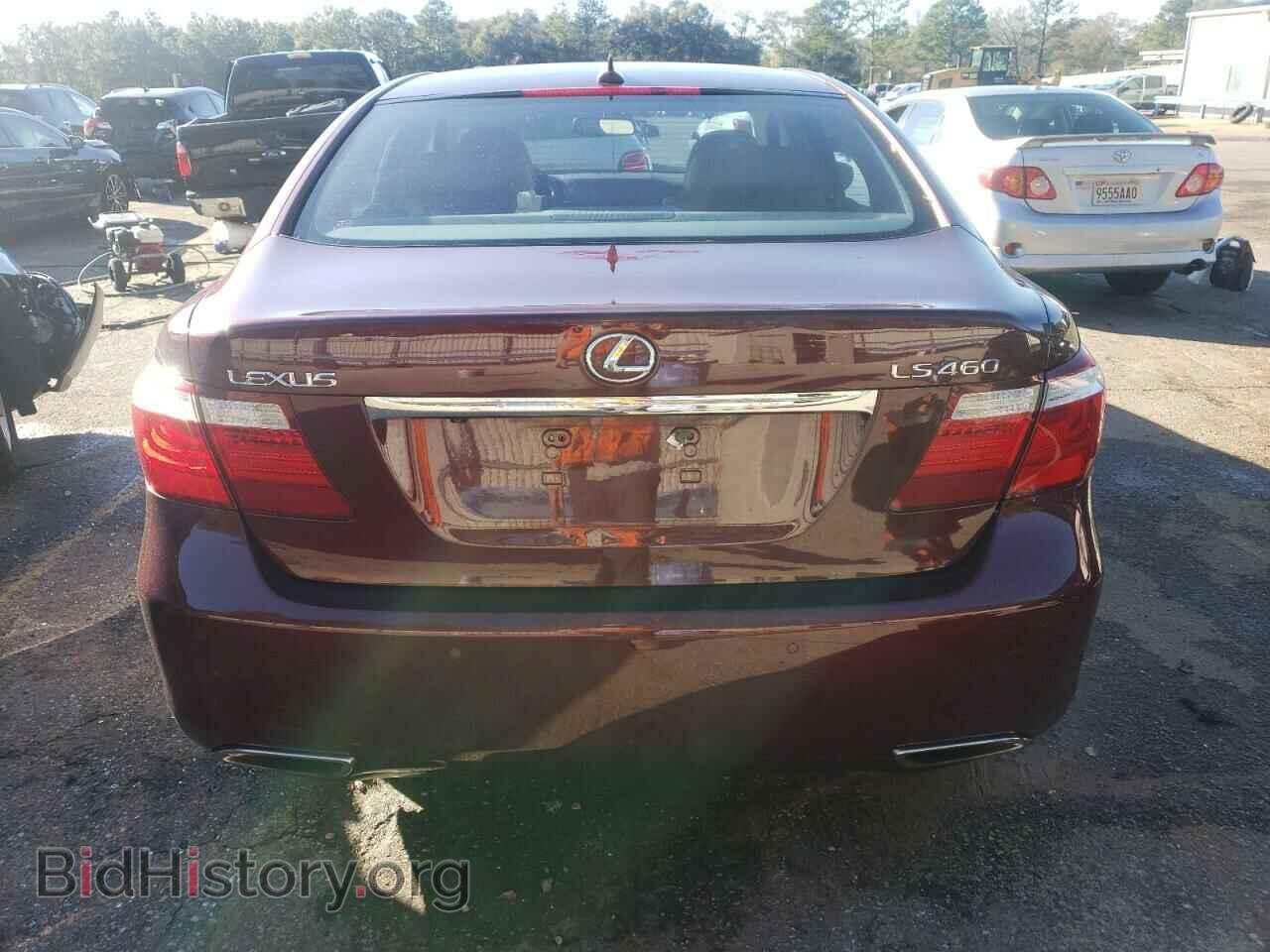 2009 LEXUS LS460 - VIN: JTHCL46F495000962 - Photo 6