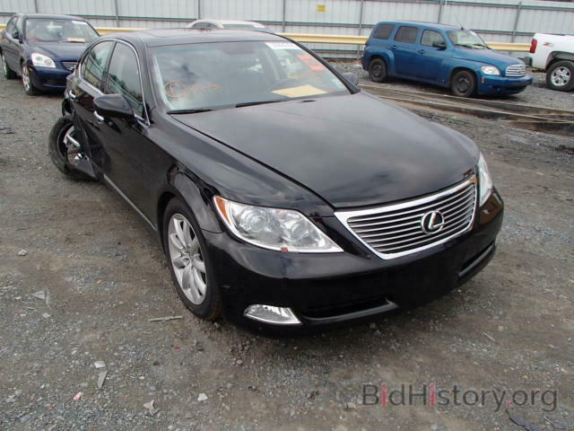 Фотография JTHBL46F195086498 - LEXUS LS460 2009