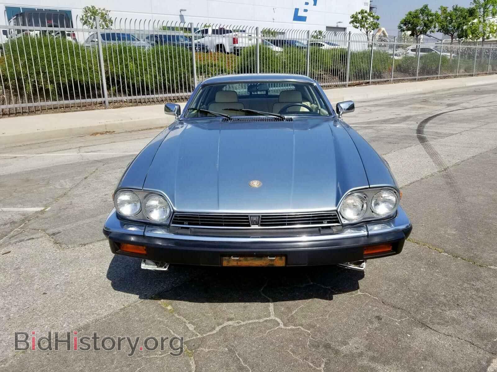 1991 JAGUAR XJS - VIN: SAJTW5845MC176547 - Фото 2