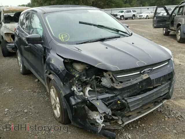 Фотография 1FMCU0GX8DUB50825 - FORD ESCAPE 2013