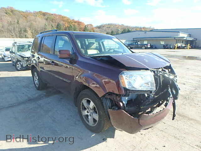 Фотография 5FNYF4H58BB024141 - HONDA PILOT 2011