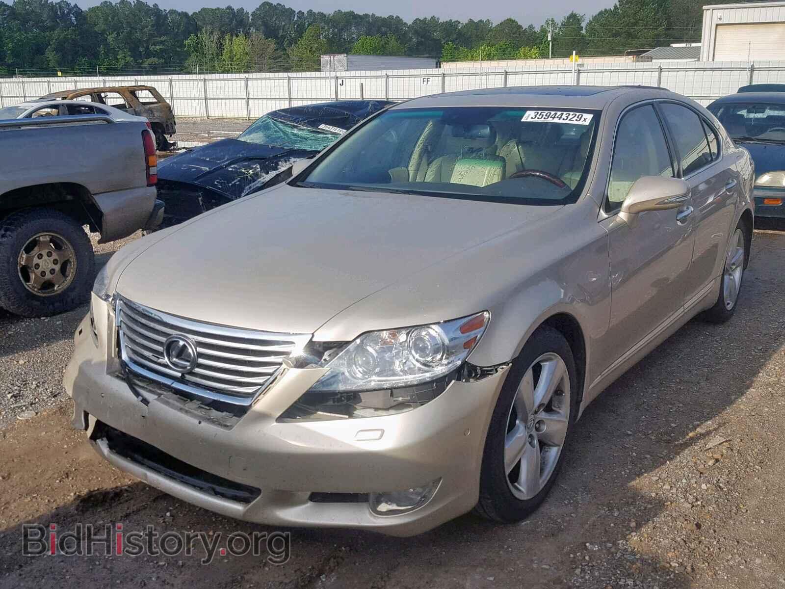 2012 LEXUS LS460 - VIN: JTHBL5EF4C5111019 - Фото 2