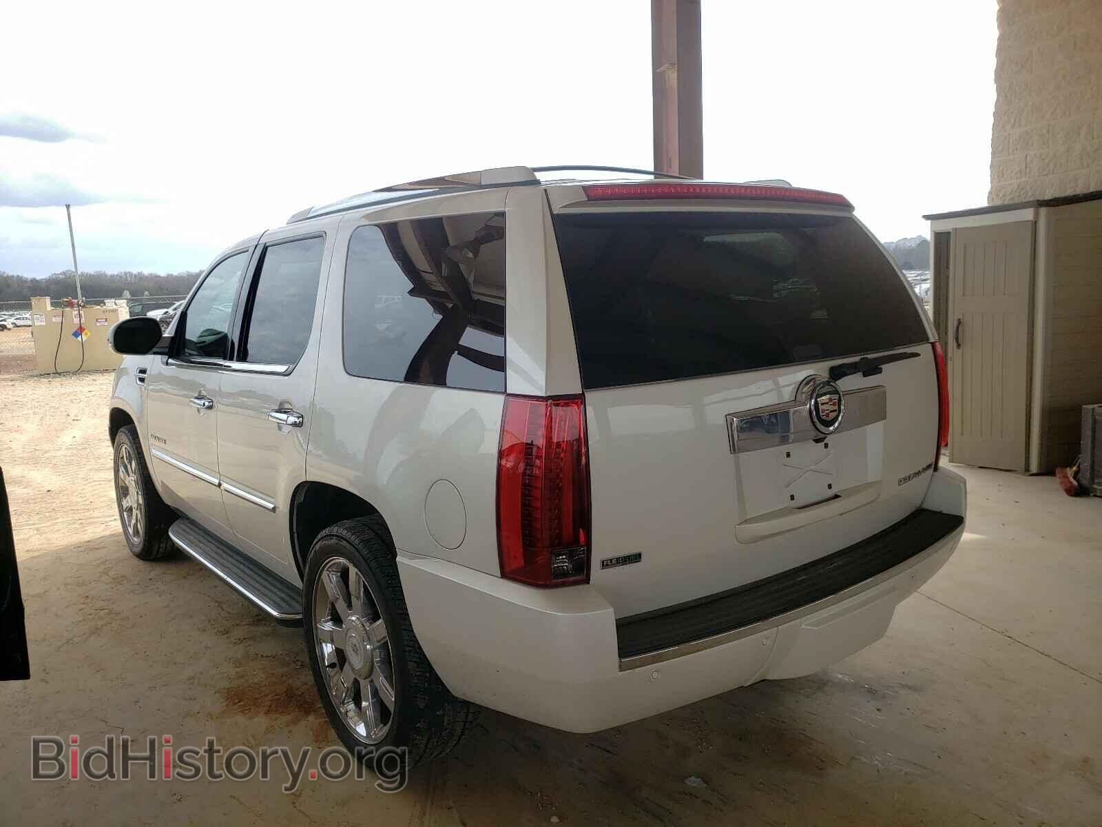 2010 CADILLAC ESCALADE - VIN: 1GYUKBEF2AR248777 - Фото 3