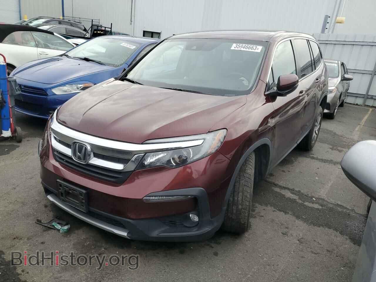 Фотография 5FNYF6H33KB083172 - HONDA PILOT 2019