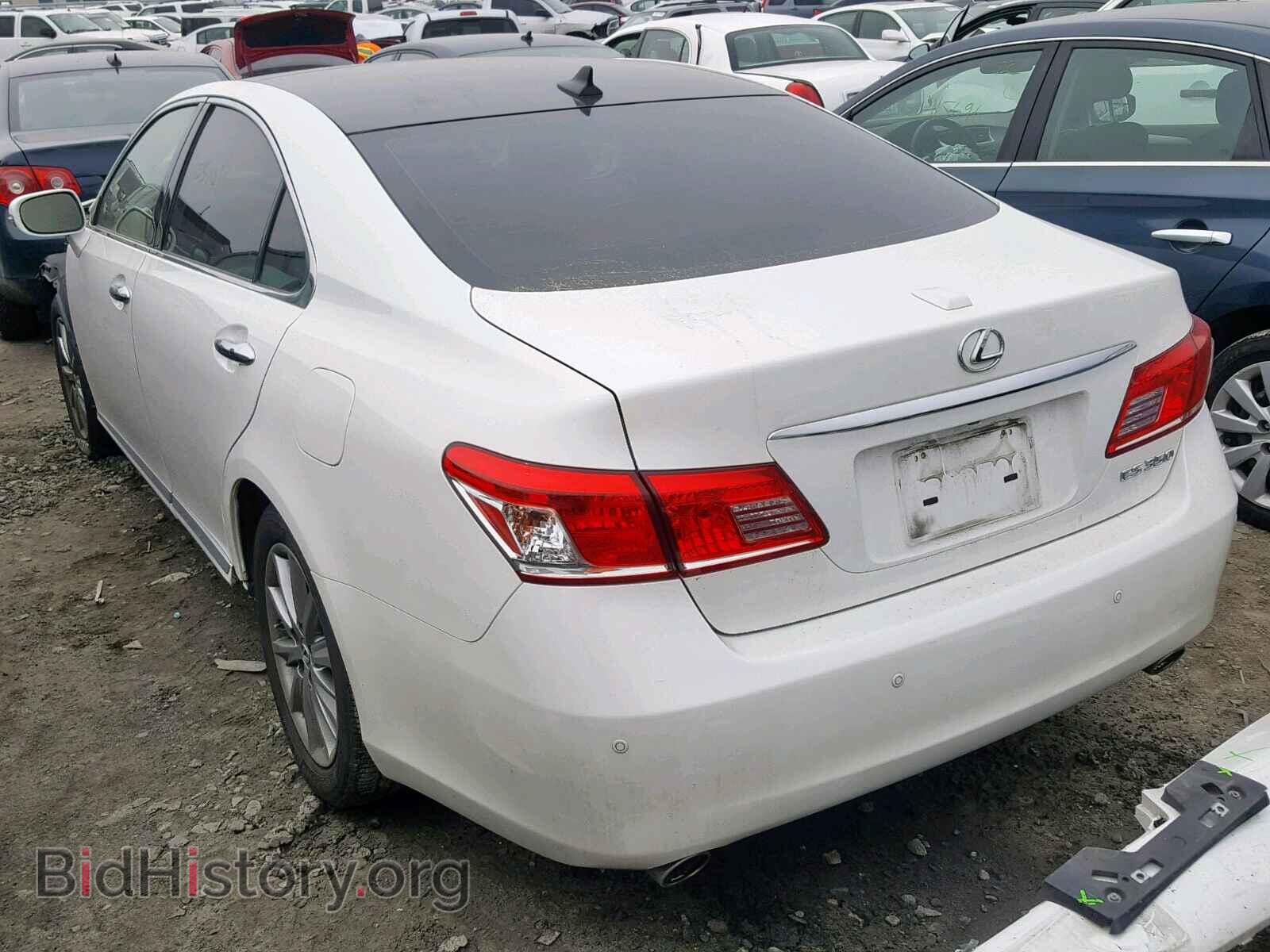 2011 LEXUS ES350 - VIN: JTHBK1EG5B2427162 - Фото 3