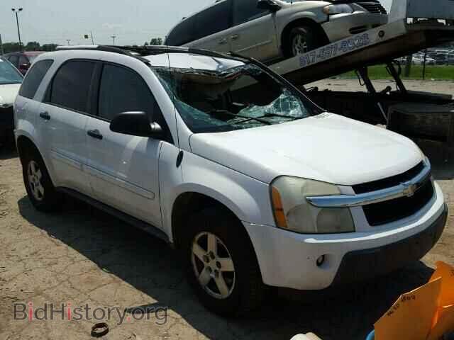 Photo 2CNDL23F856165194 - CHEVROLET EQUINOX 2005