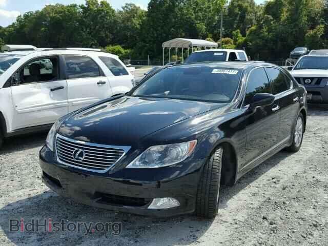 2007 LEXUS LS460 - VIN: JTHBL46F875003713 - Фото 2