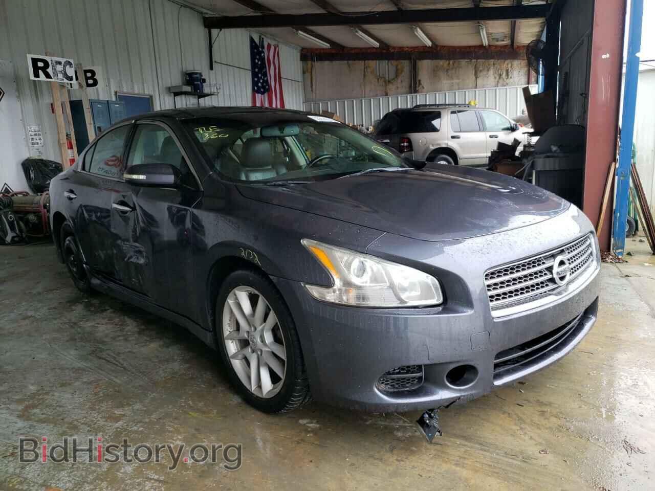 Photo 1N4AA5AP1AC850641 - NISSAN MAXIMA 2010