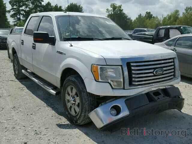 Photo 1FTEW1C82AFD42561 - FORD F150 2010