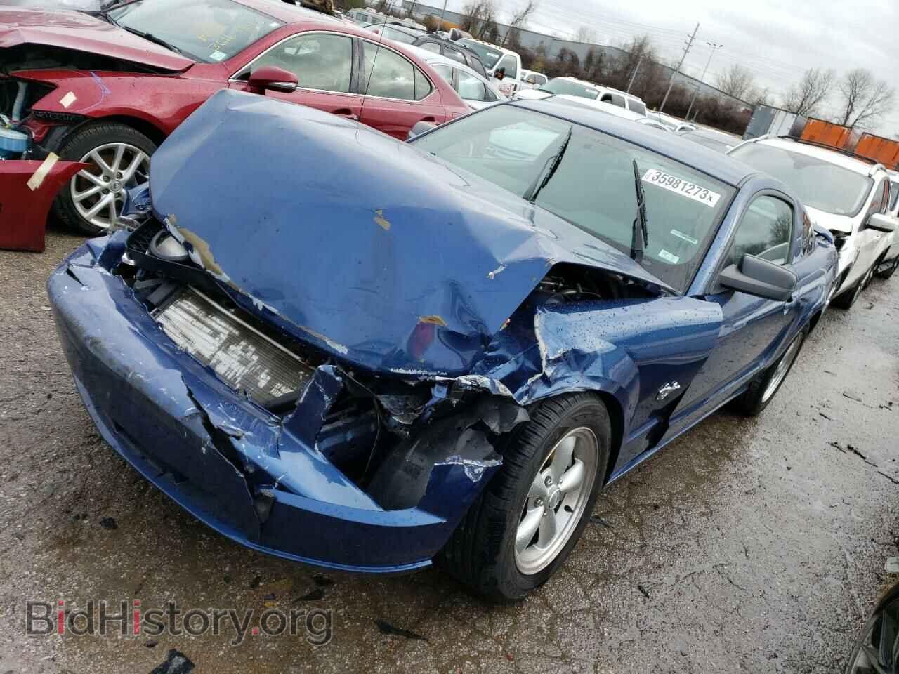 Фотография 1ZVHT82H295133321 - FORD MUSTANG 2009