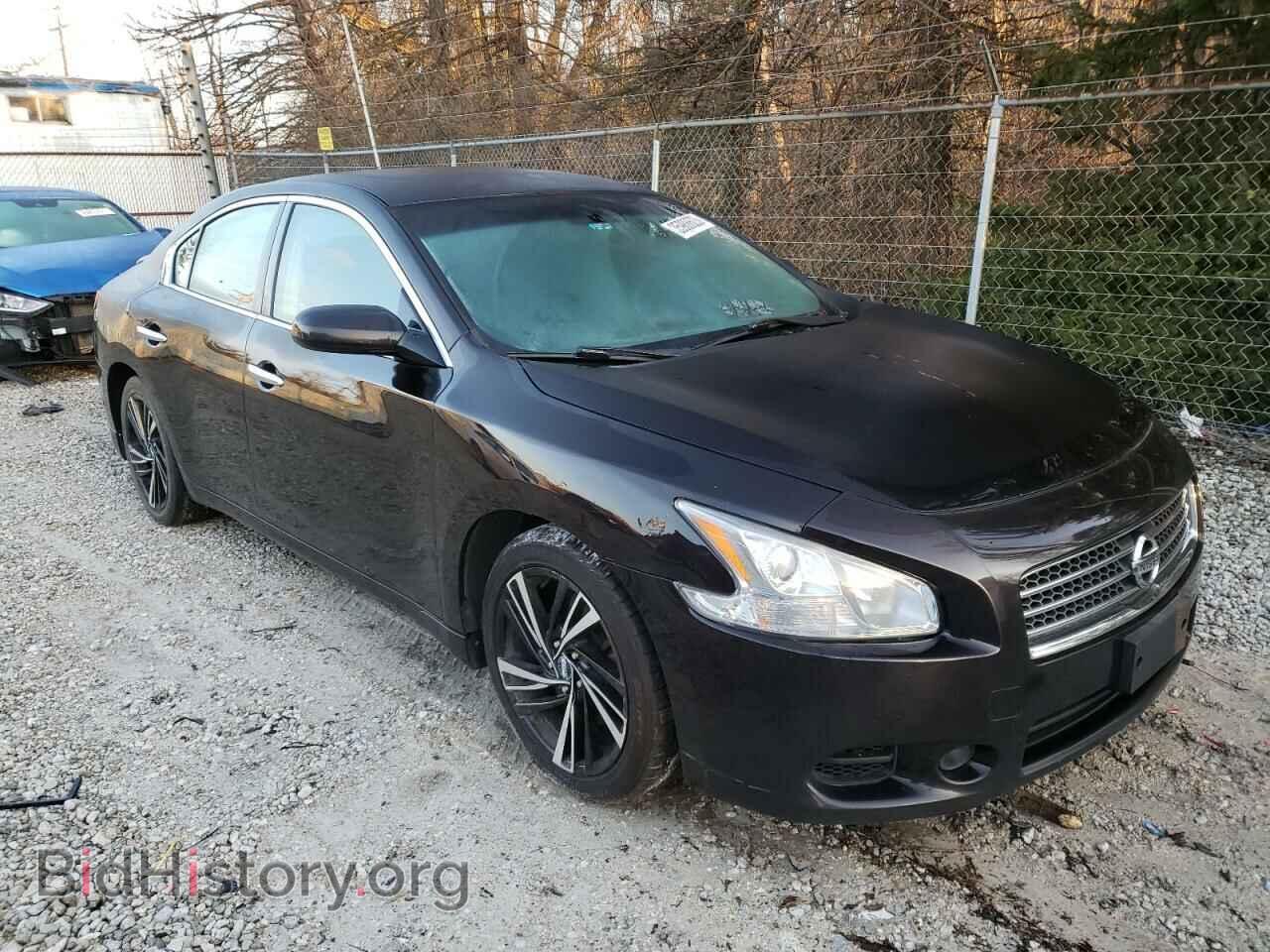 2010 NISSAN MAXIMA - VIN: 1N4AA5AP2AC819253 - Фото 4