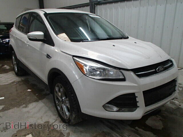 Фотография 1FMCU0HX7DUA55154 - FORD ESCAPE 2013