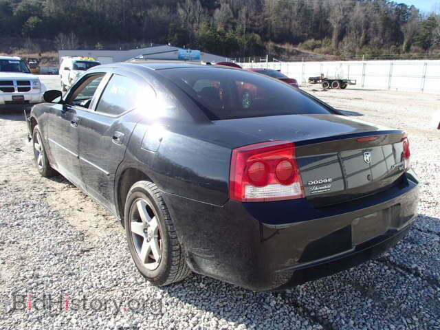 2010 DODGE CHARGER - VIN: 2B3CA3CV3AH196338 - Фото 3