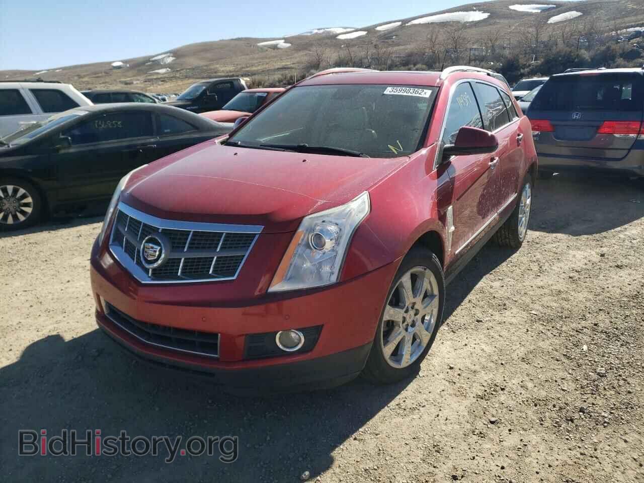 2010 CADILLAC SRX - VIN: 3GYFNFEY4AS501667 - Фото 2
