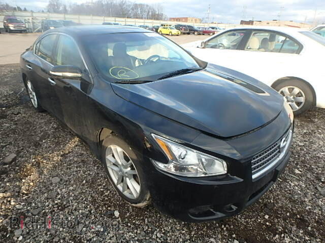 Фотография 1N4AA5AP3BC846933 - NISSAN MAXIMA 2011