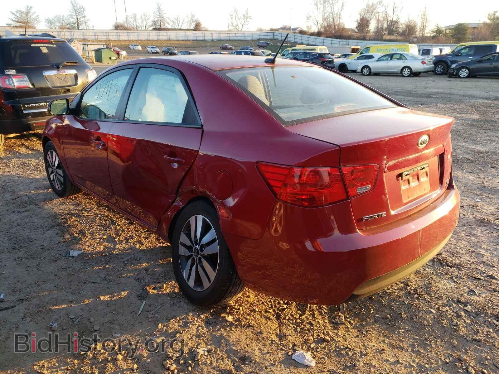 2013 KIA FORTE - VIN: KNAFU4A21D5652301 - Фото 3