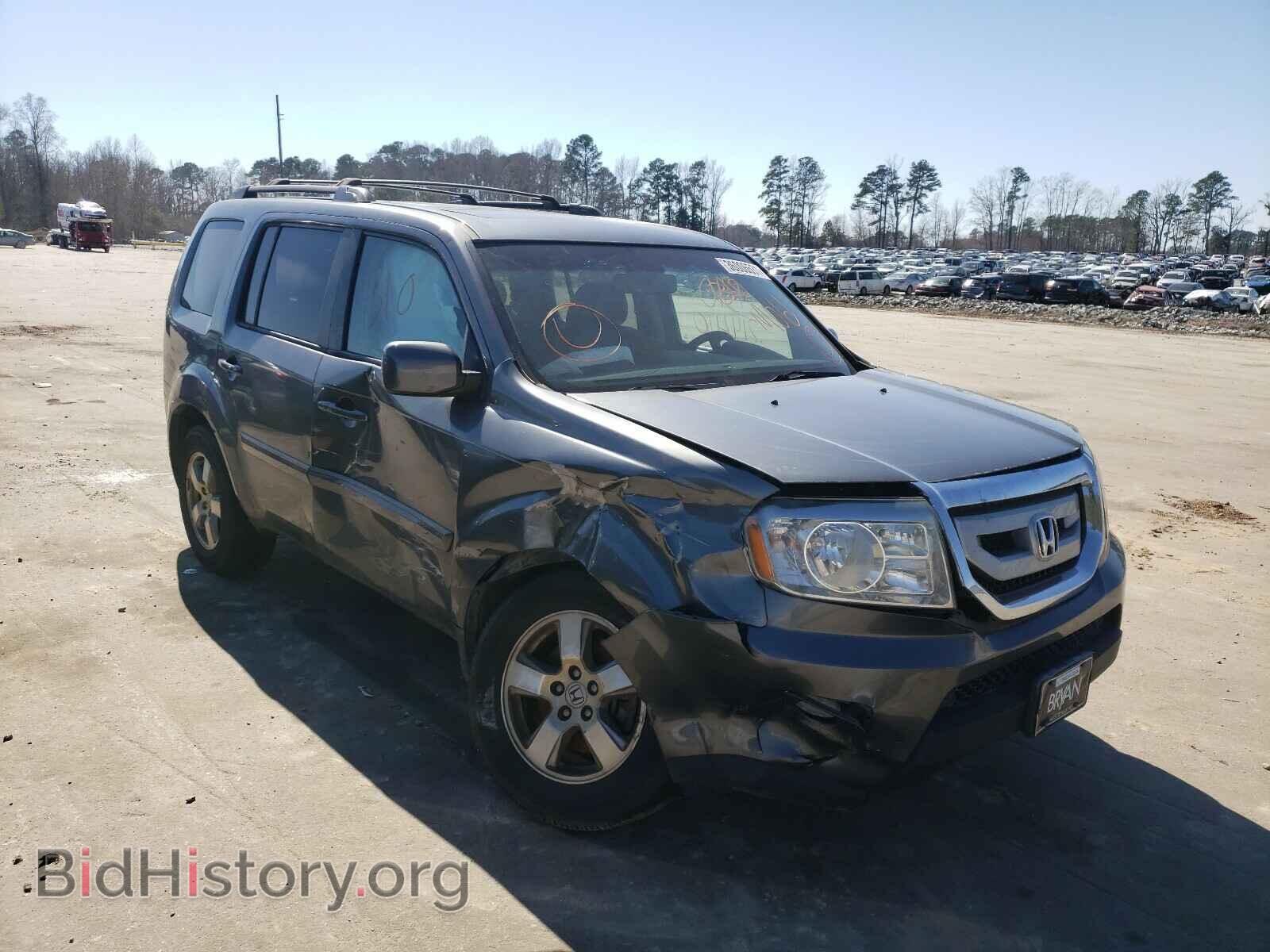 Photo 5FNYF3H55BB050237 - HONDA PILOT 2011
