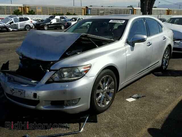 2010 LEXUS LS460 - VIN: JTHBL5EF8A5094996 - Фото 2