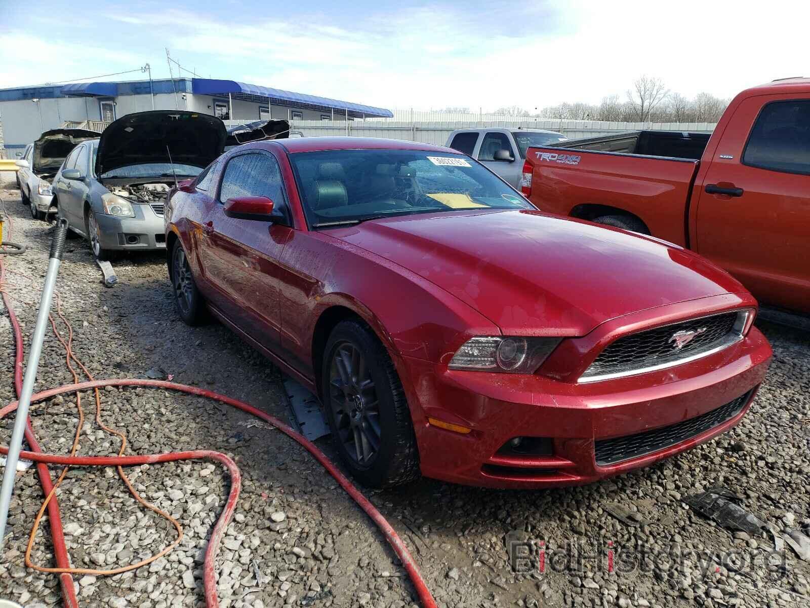 Photo 1ZVBP8AM6E5297870 - FORD MUSTANG 2014