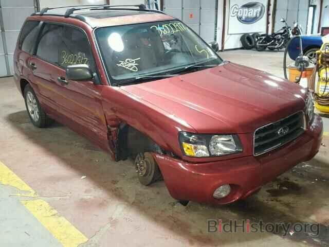 Photo JF1SG65655H739061 - SUBARU FORESTER 2005
