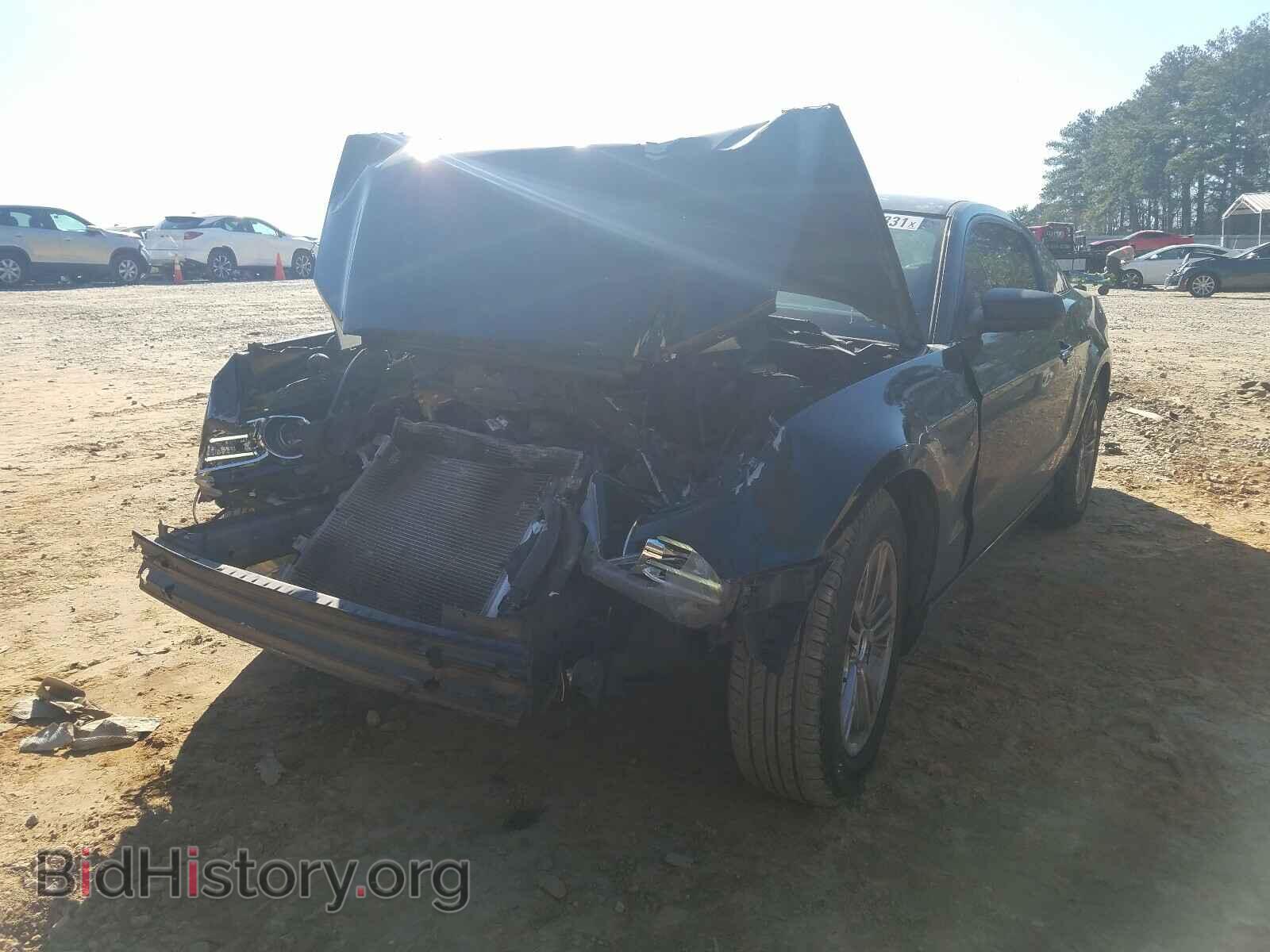 2014 FORD MUSTANG - VIN: 1ZVBP8AM4E5313063 - Фото 2