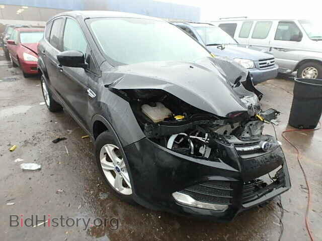 Фотография 1FMCU0GX1EUB78659 - FORD ESCAPE 2014