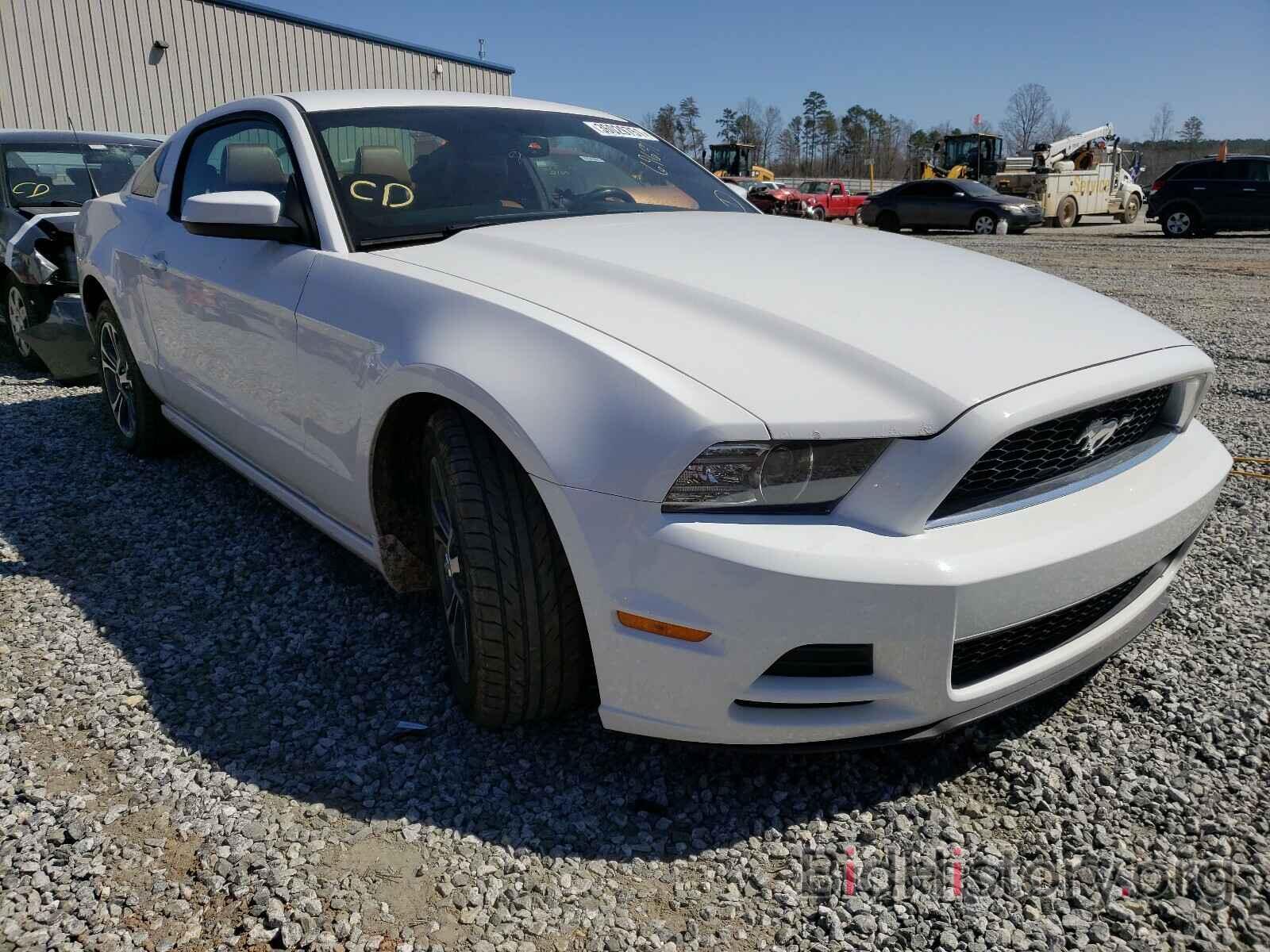 Photo 1ZVBP8AM9E5264409 - FORD MUSTANG 2014