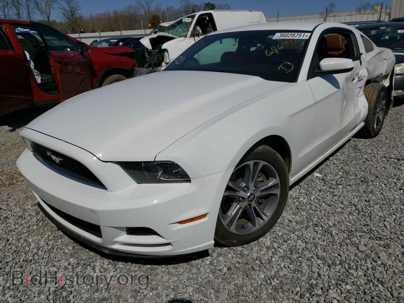 2014 FORD MUSTANG - VIN: 1ZVBP8AM9E5264409 - Фото 2