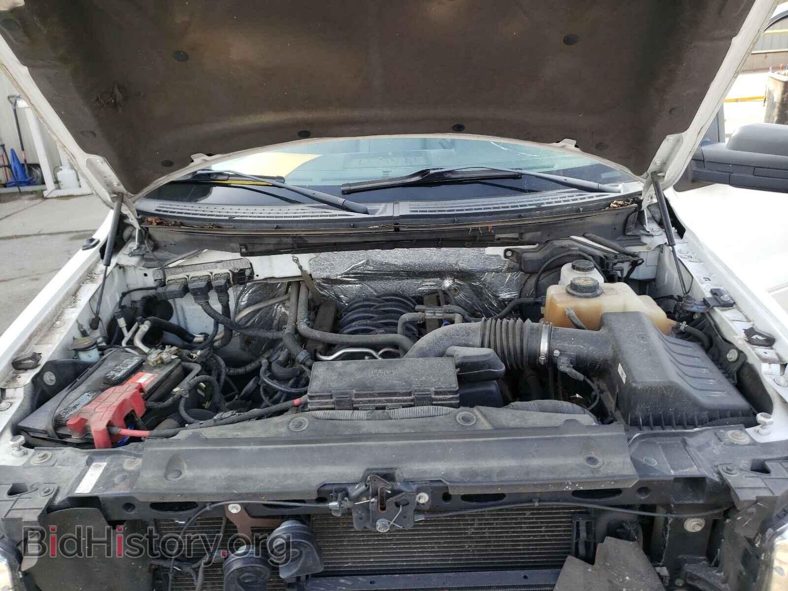 2013 FORD F150 - VIN: 1FTVX1EF8DKE48890 - Фото 7